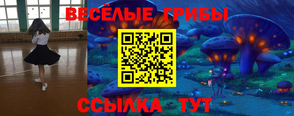 Псилоцибиновые грибы Cubensis  Вход с VPN  Томск 